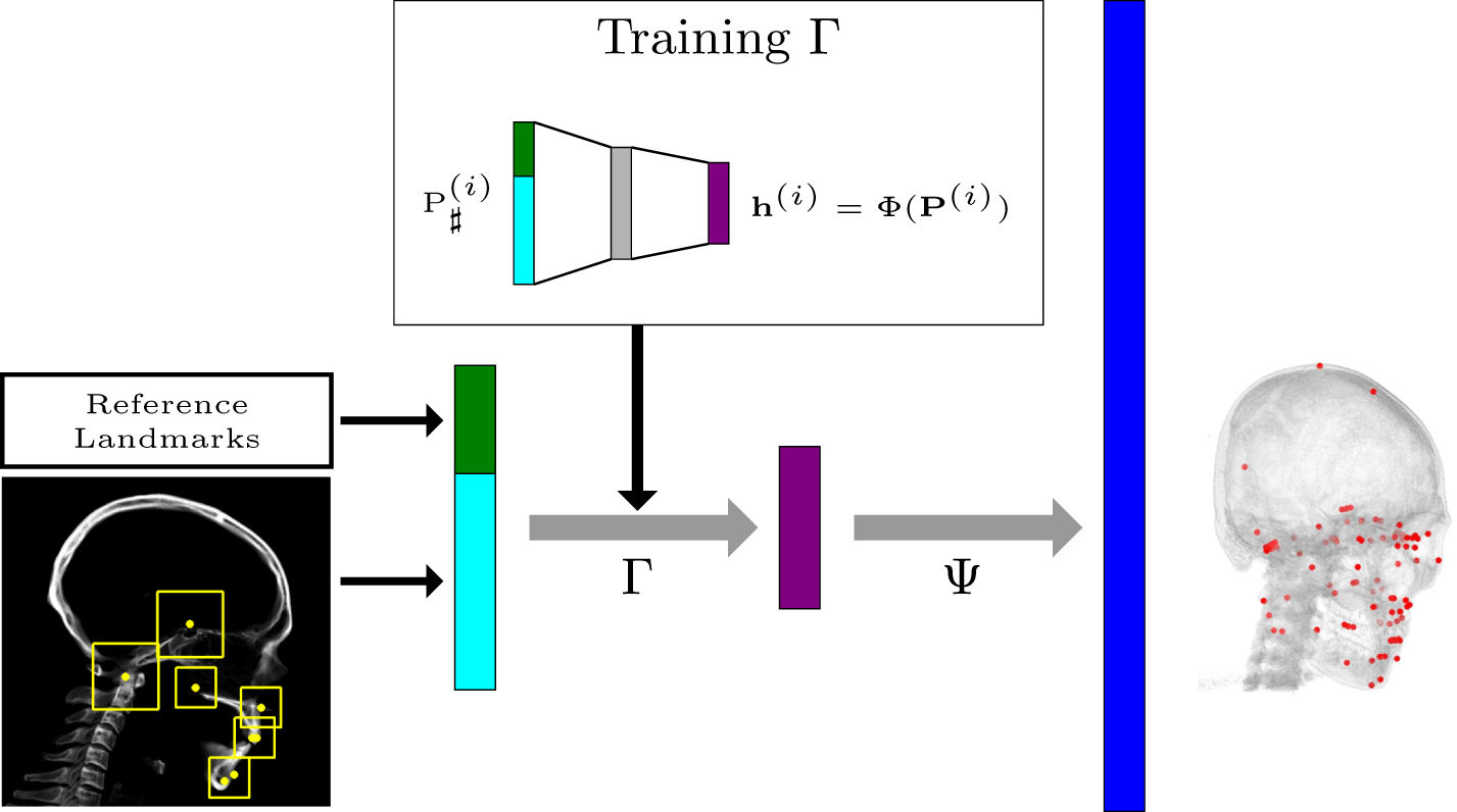 Learning-based local-to-global landmark annotation for automatic 3D ...