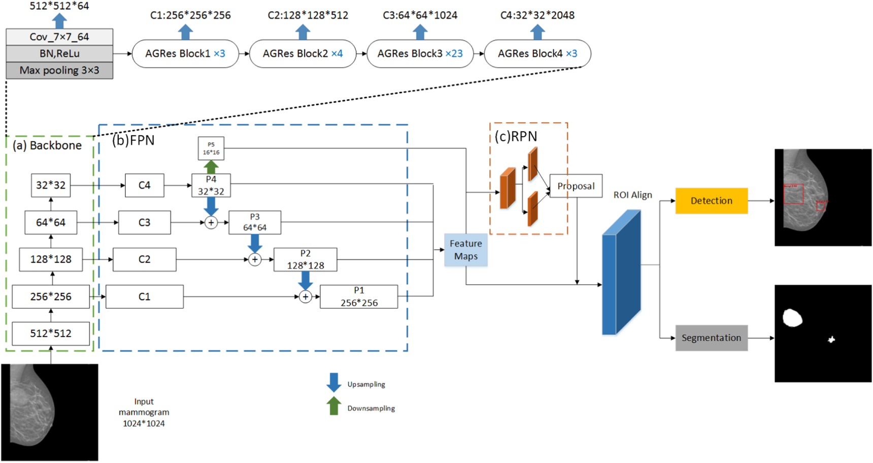 Mass segmentation for whole mammograms via attentive multi-task ...