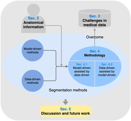 Anatomy-aided deep learning for medical image segmentation: a review ...