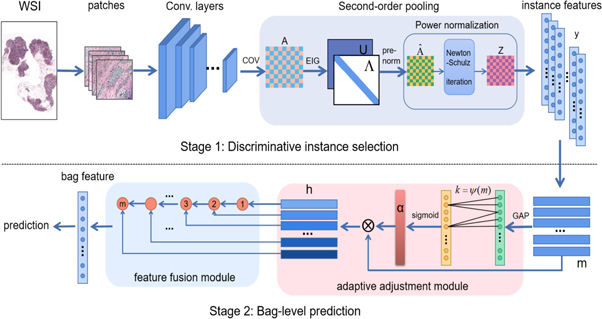 Second-order multi-instance learning model for whole slide image ...
