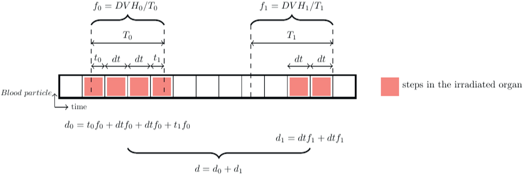Dose Array HEDOS—a computational tool to assess radiation dose to circulating ...