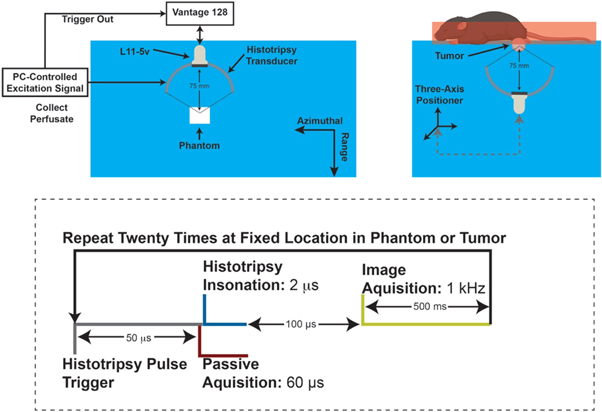 Estimating the mechanical energy of histotripsy bubble clouds with high ...