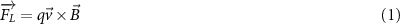 Equation (1)