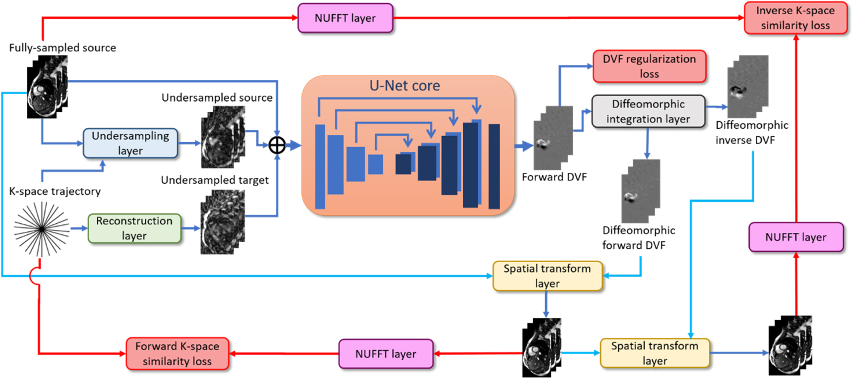 Real-time MRI motion estimation through an unsupervised k-space