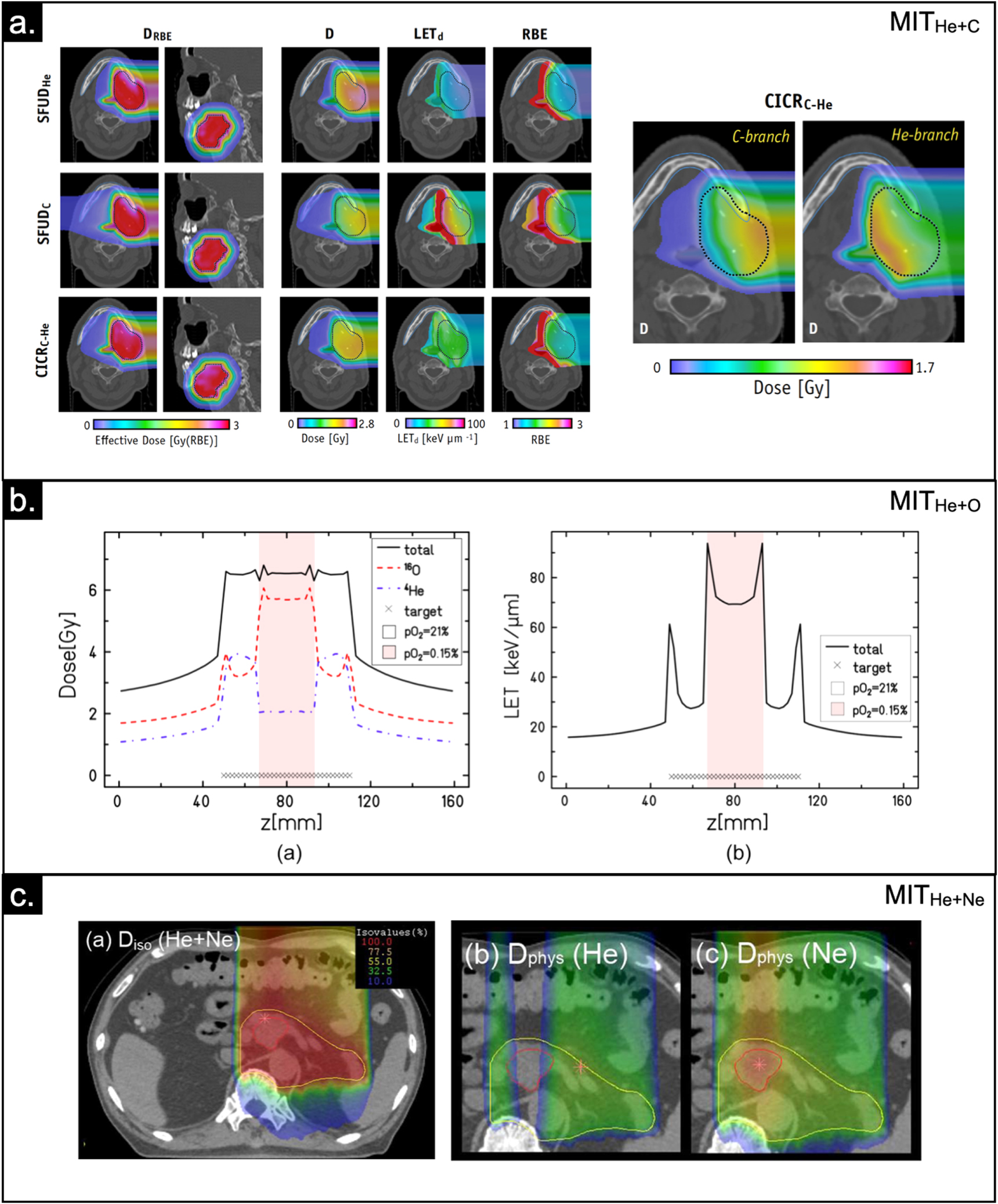 Roadmap: helium ion therapy - IOPscience
