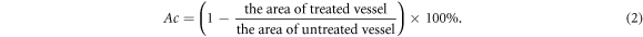 Equation (2)