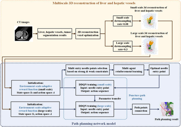 Flexible needle puncture path planning for liver tumors based on deep ...