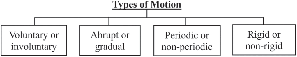 Motion in nuclear cardiology imaging: types, artifacts, detection and ...