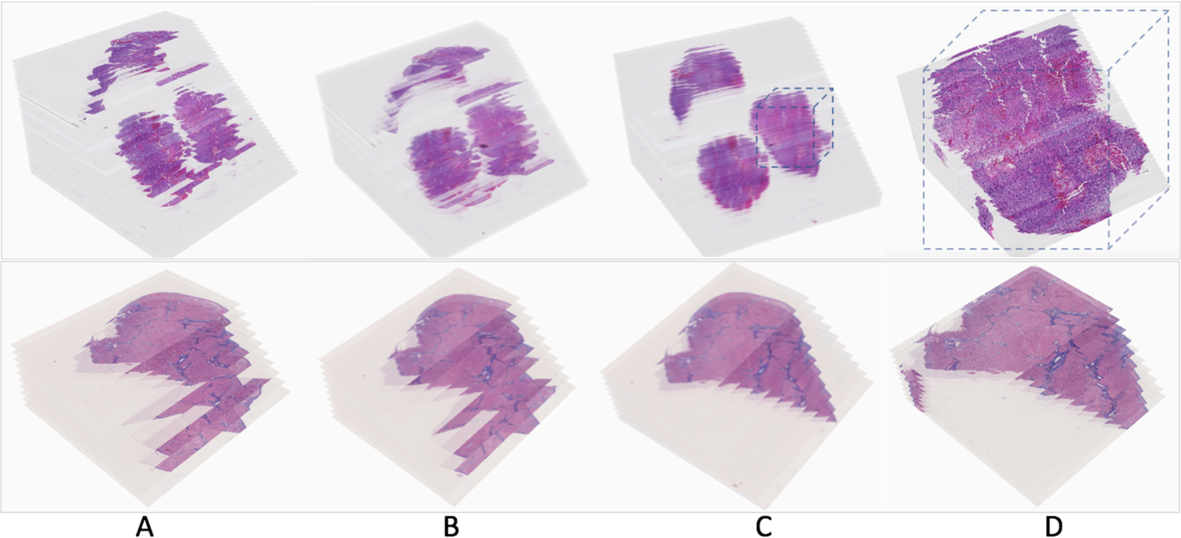 An integrative web-based software tool for multi-dimensional pathology ...