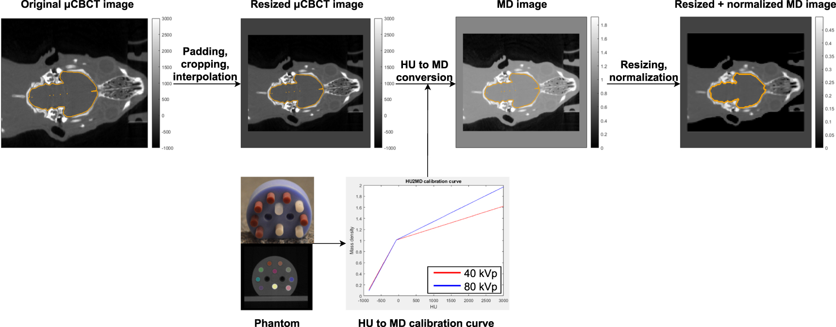 Automatic contouring of normal tissues with deep learning for ...