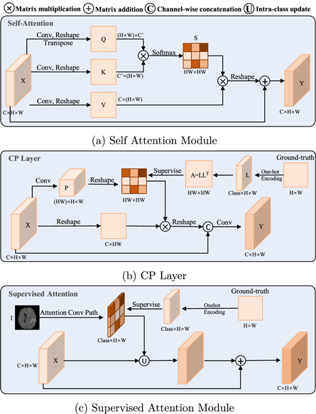 Category guided attention network for brain tumor segmentation in MRI ...