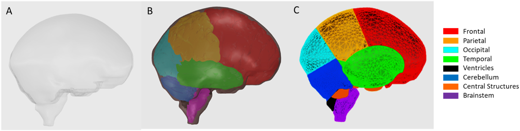 Intra-brain vascular models within the ICRP mesh-type adult reference ...