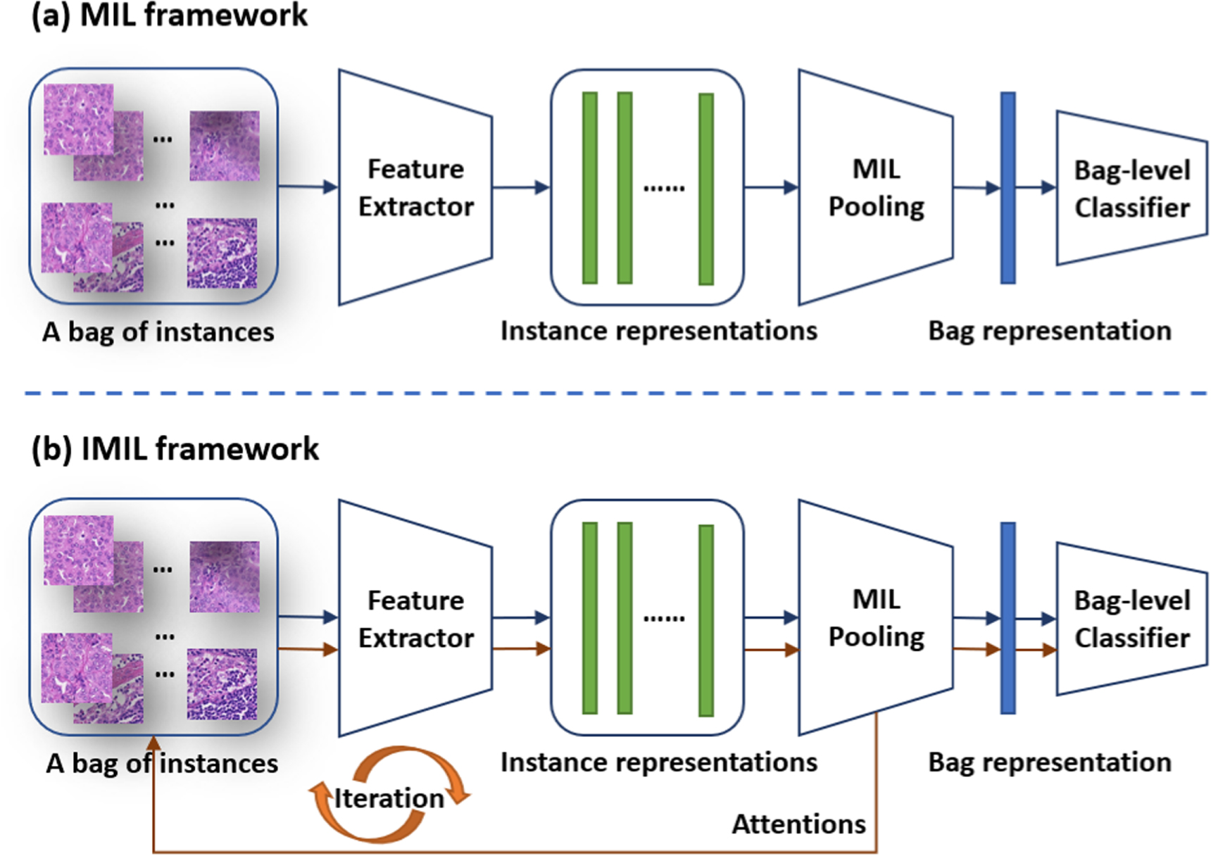 Iterative multiple instance learning for weakly annotated whole slide ...