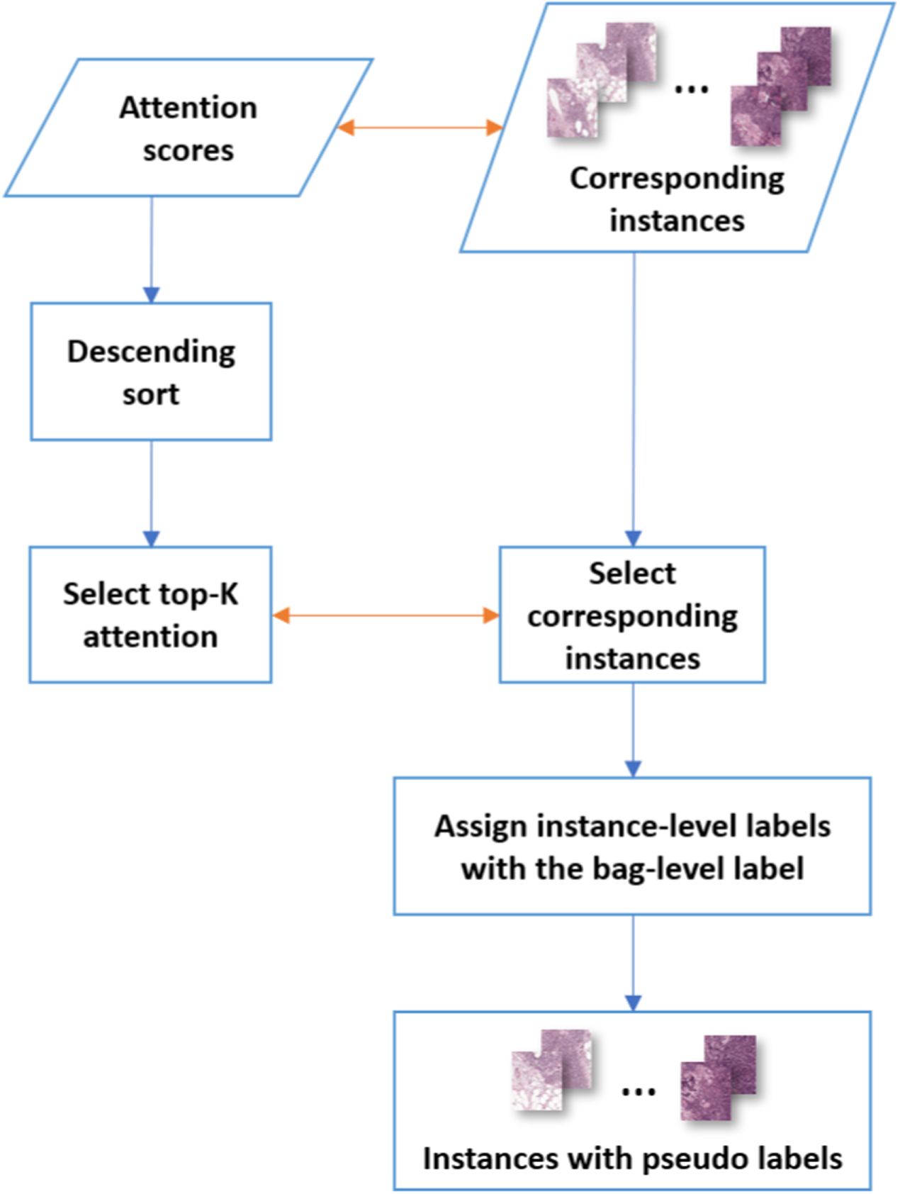 Iterative multiple instance learning for weakly annotated whole slide ...