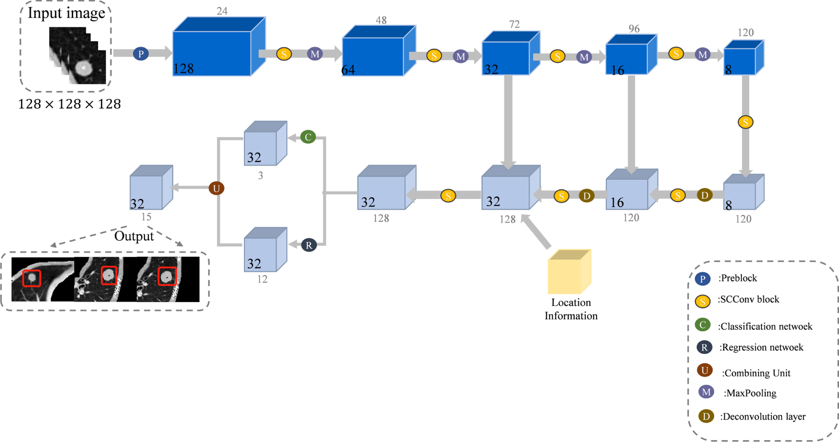Dsam Module Multiscale self-calibrated pulmonary nodule detection network fusing ...