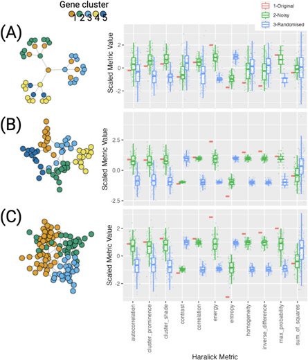 Graph ‘texture’ features as novel metrics that can summarize complex ...