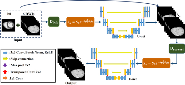 Accelerated cardiac diffusion tensor imaging using deep neural network ...