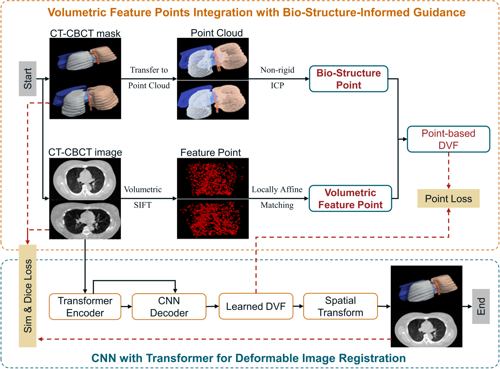 Volumetric feature points integration with bio-structure-informed ...