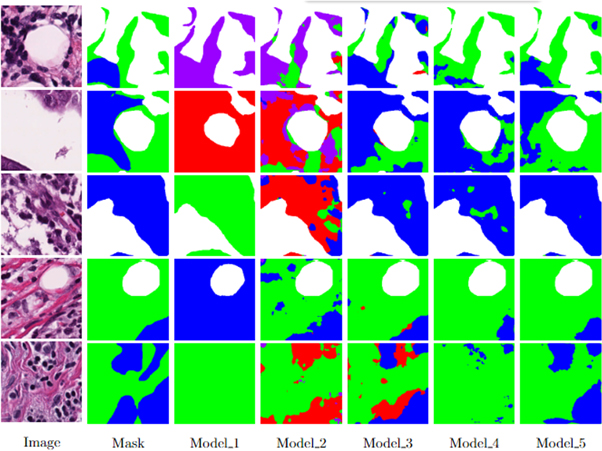 Weakly supervised semantic segmentation of histological tissue via ...
