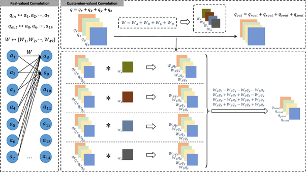 Quaternion attention multi-scale widening network for endoscopy image ...