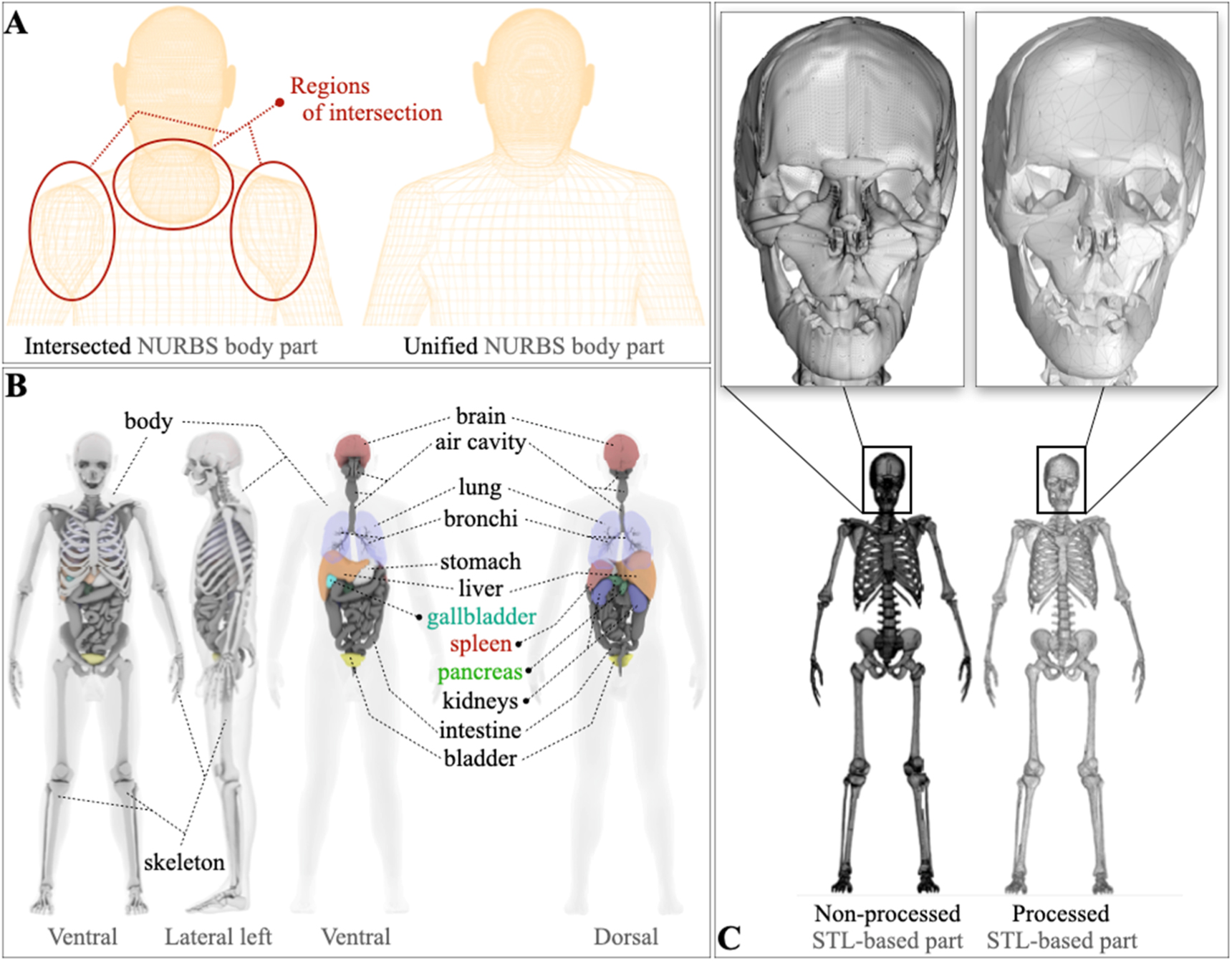 Mesh modeling of system geometry and anatomy phantoms for realistic ...