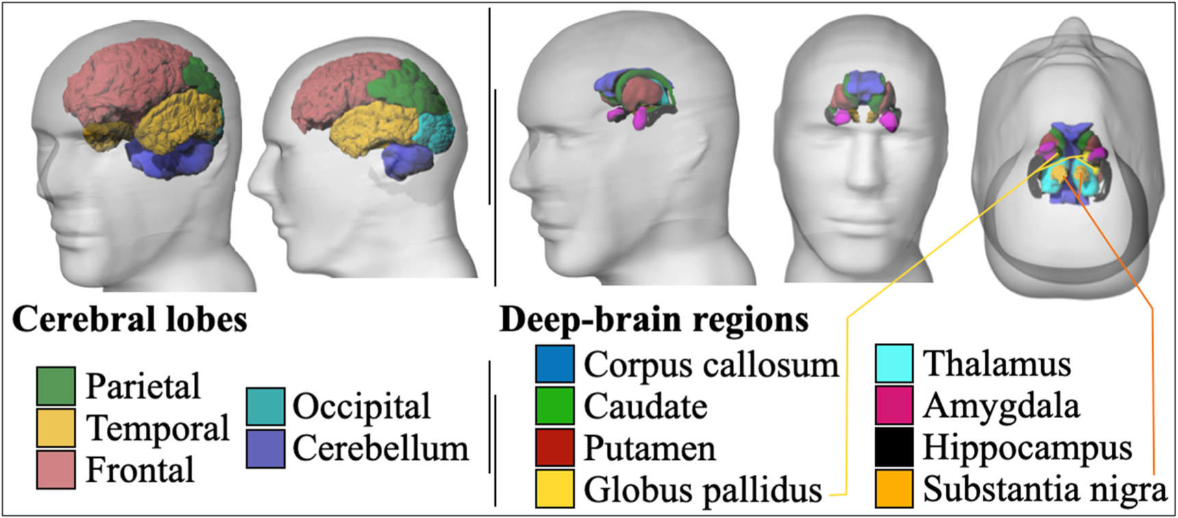Mesh modeling of system geometry and anatomy phantoms for realistic ...