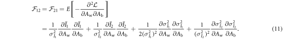 Equation (11)
