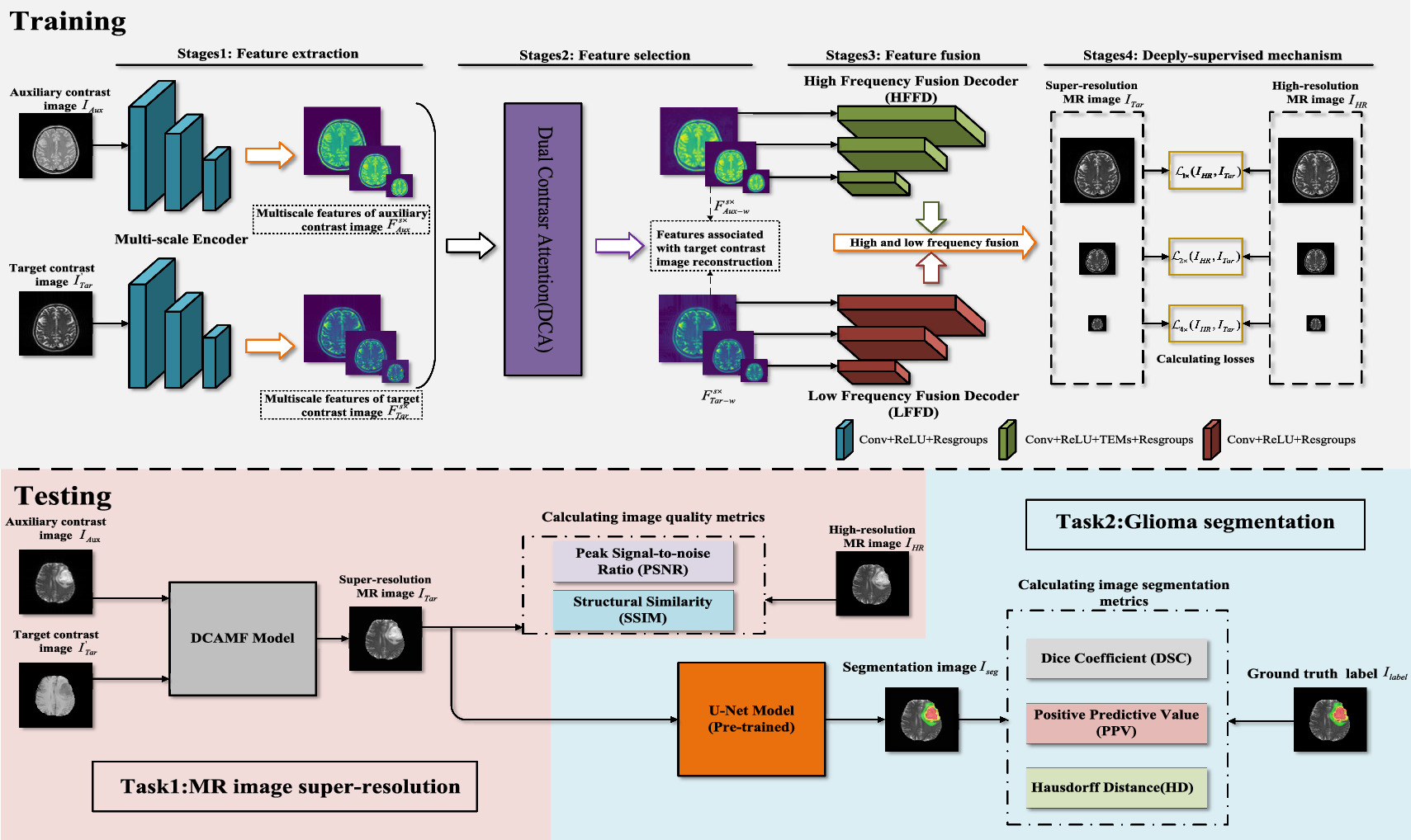 Dual contrast attention-guided multi-frequency fusion for multi ...