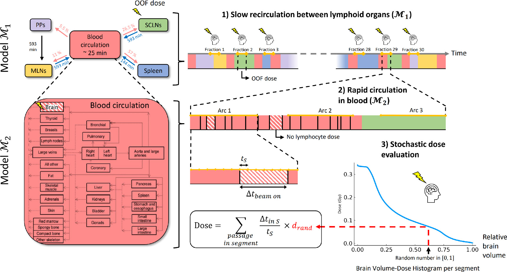Figure 1. Refer to the following caption and surrounding text.
