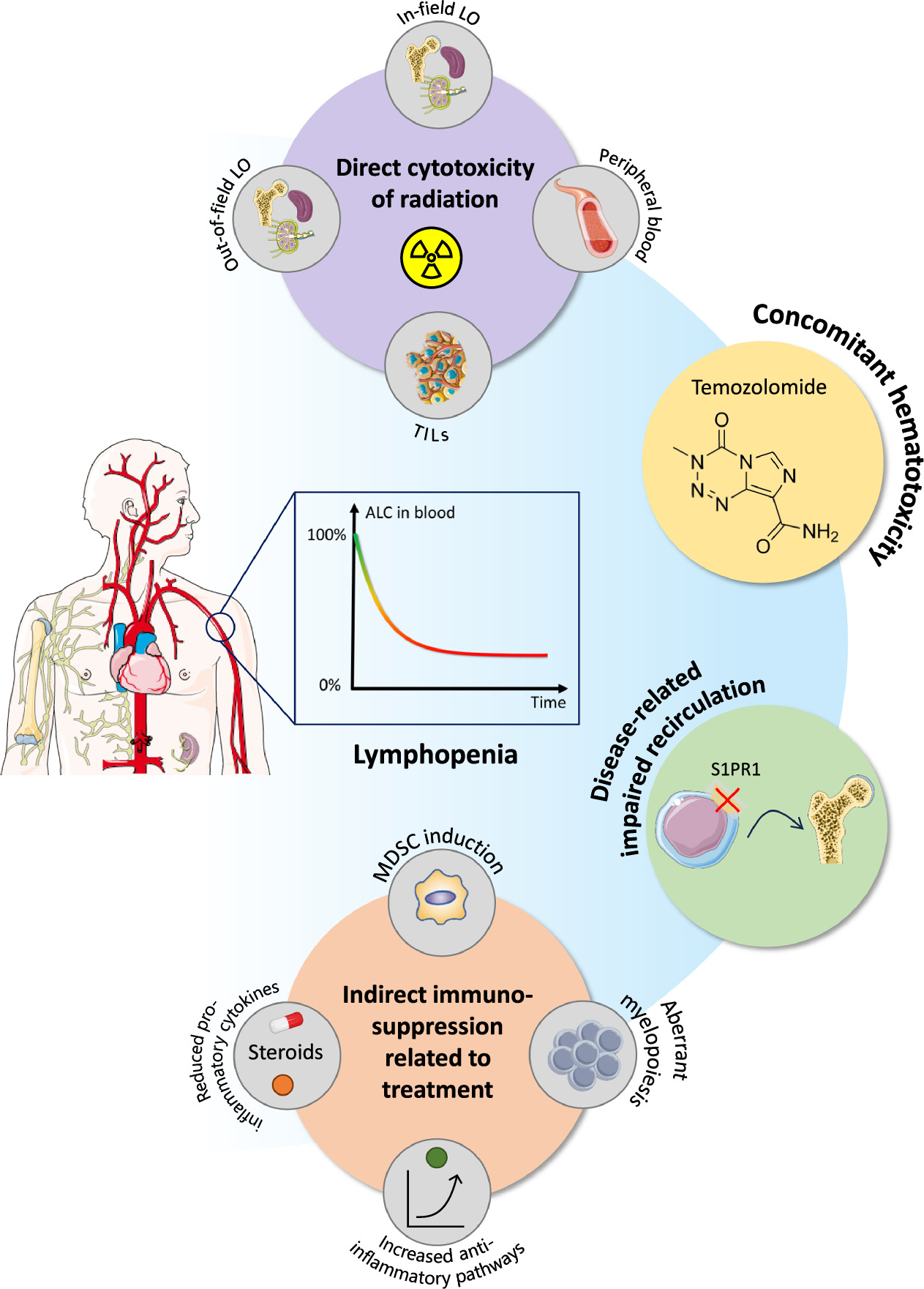 Figure 3. Refer to the following caption and surrounding text.