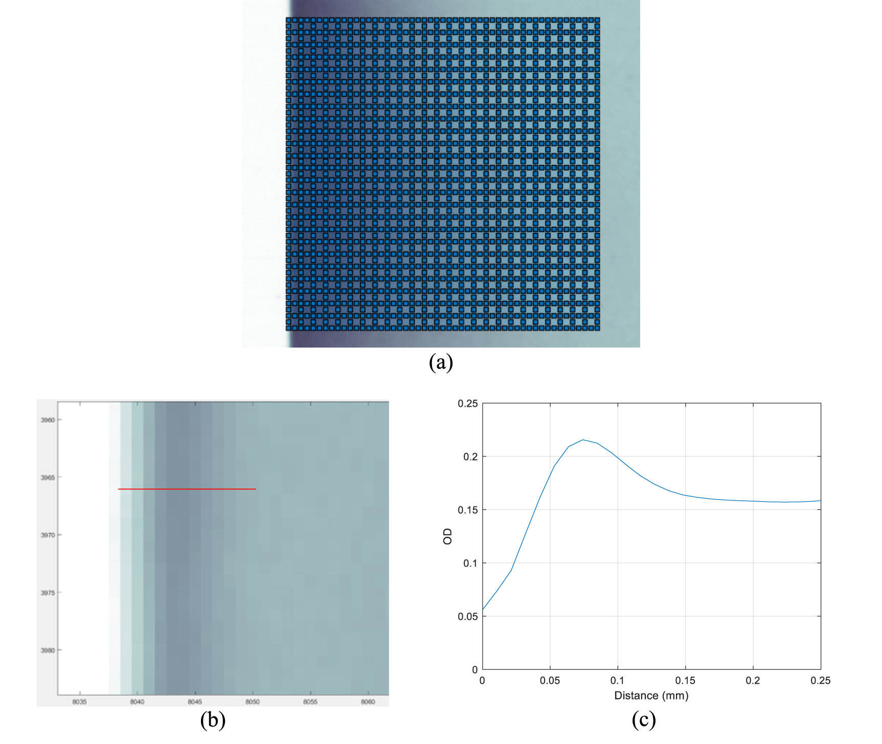 Investigation of a measurement-based dosimetry approach to beta ...