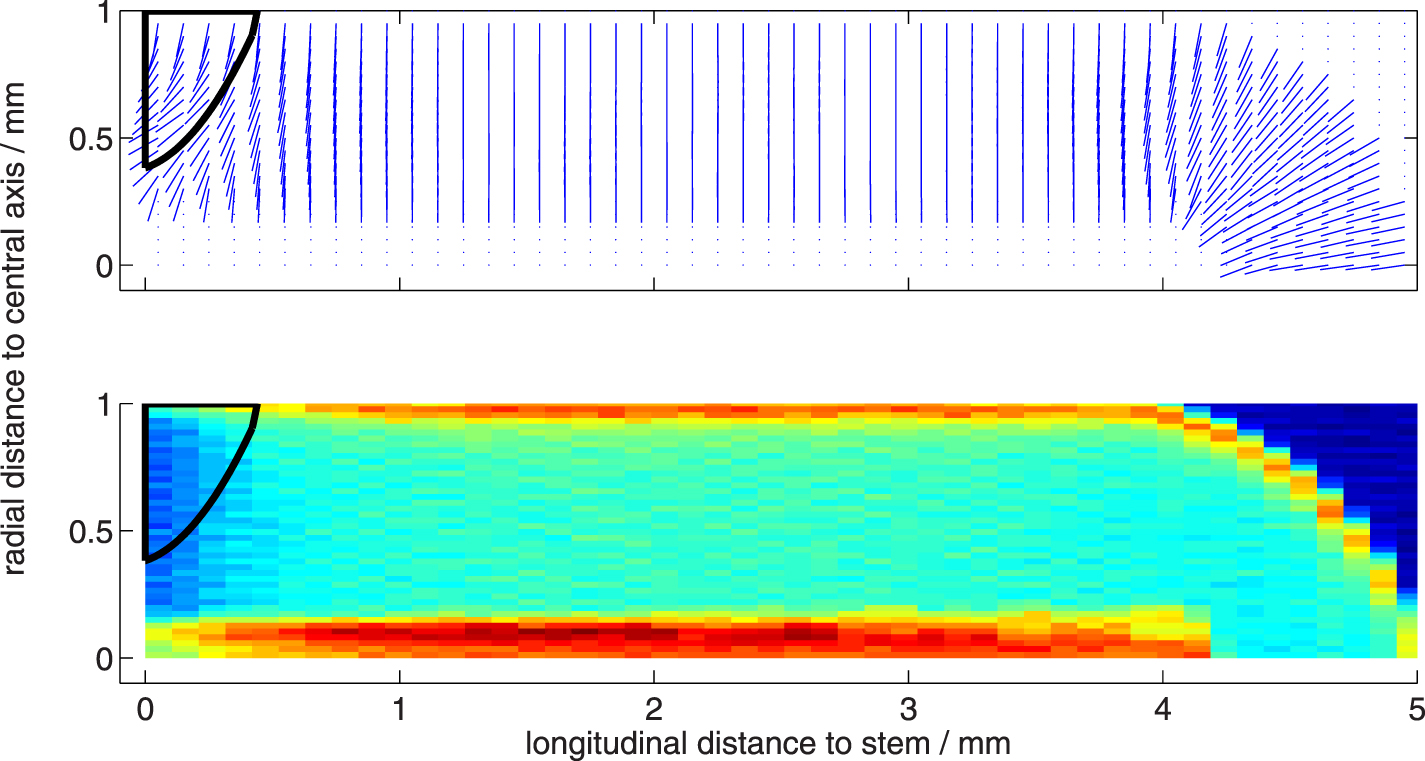 Investigations on the beam quality correction factor for ionization ...