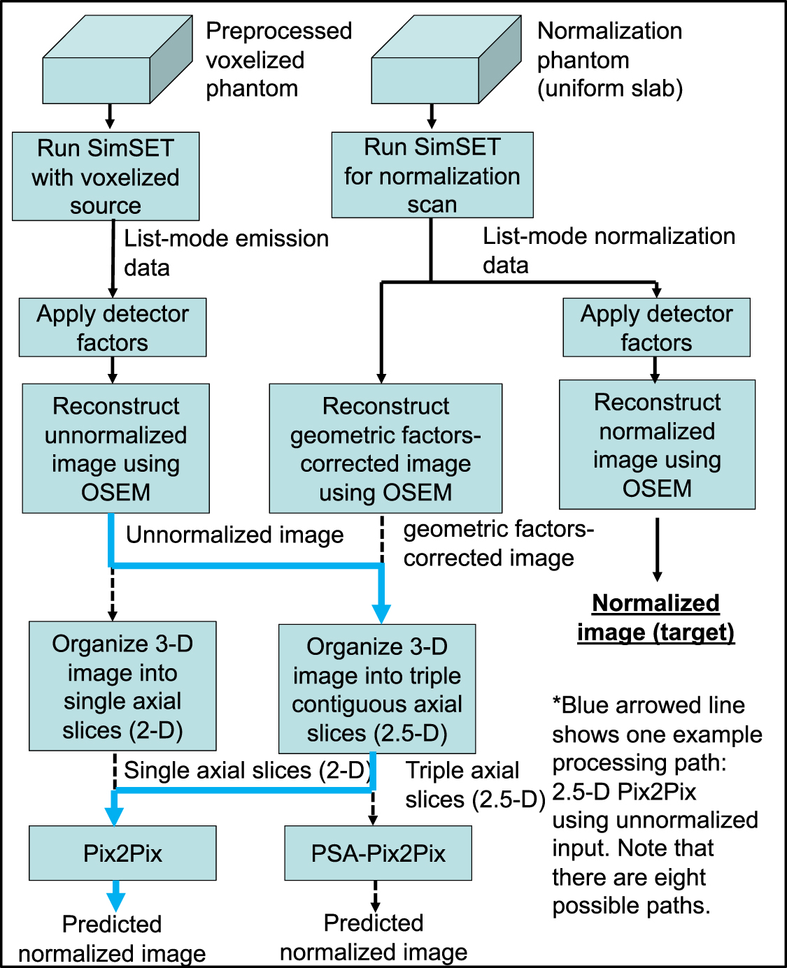 Self-normalization for a 1 mm3 resolution clinical PET system using ...