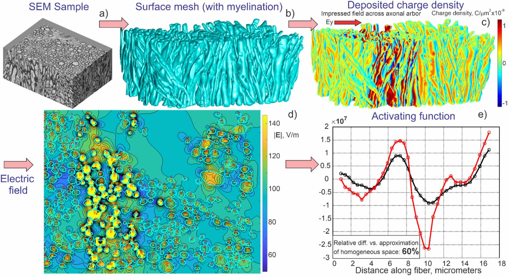 A survey on integral equations for bioelectric modeling - IOPscience