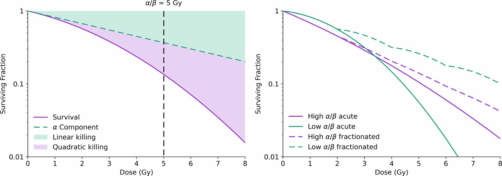 Lq Model Modelling radiobiology - IOPscience