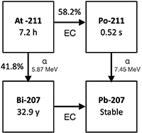 Dosimetry at cellular level for the alpha-emitting radionuclides ...
