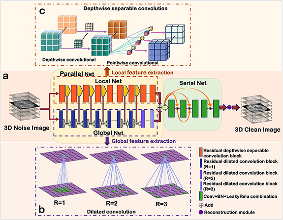 Global and local feature extraction based on convolutional neural ...