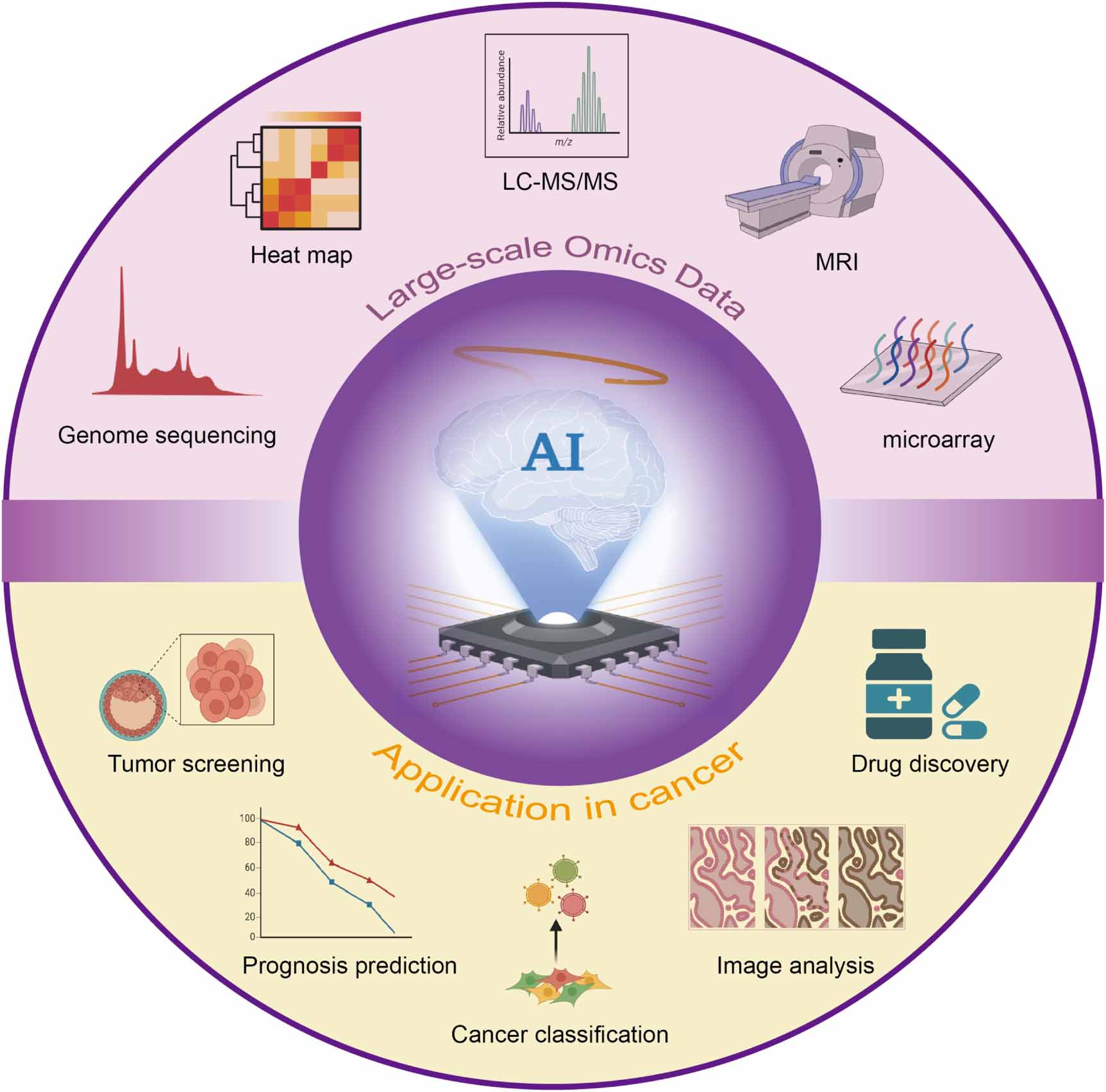 Research and application of omics and artificial intelligence in cancer ...