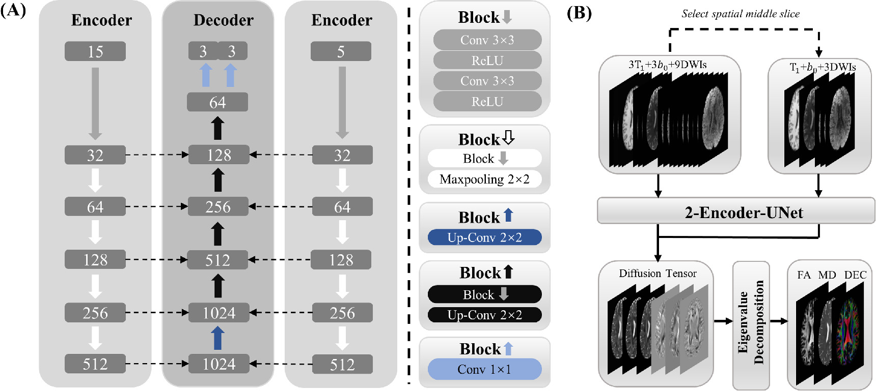 Ultrafast diffusion tensor imaging based on deep learning and multi ...