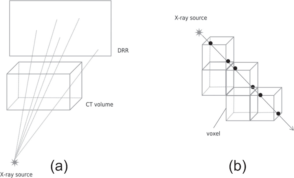 XTransCT: ultra-fast volumetric CT reconstruction using two orthogonal ...