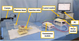 Path planning for flexible needle based on both insertion mechanism ...