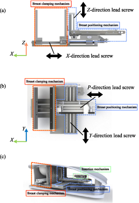 Path planning for flexible needle based on both insertion mechanism ...