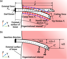 Path planning for flexible needle based on both insertion mechanism ...