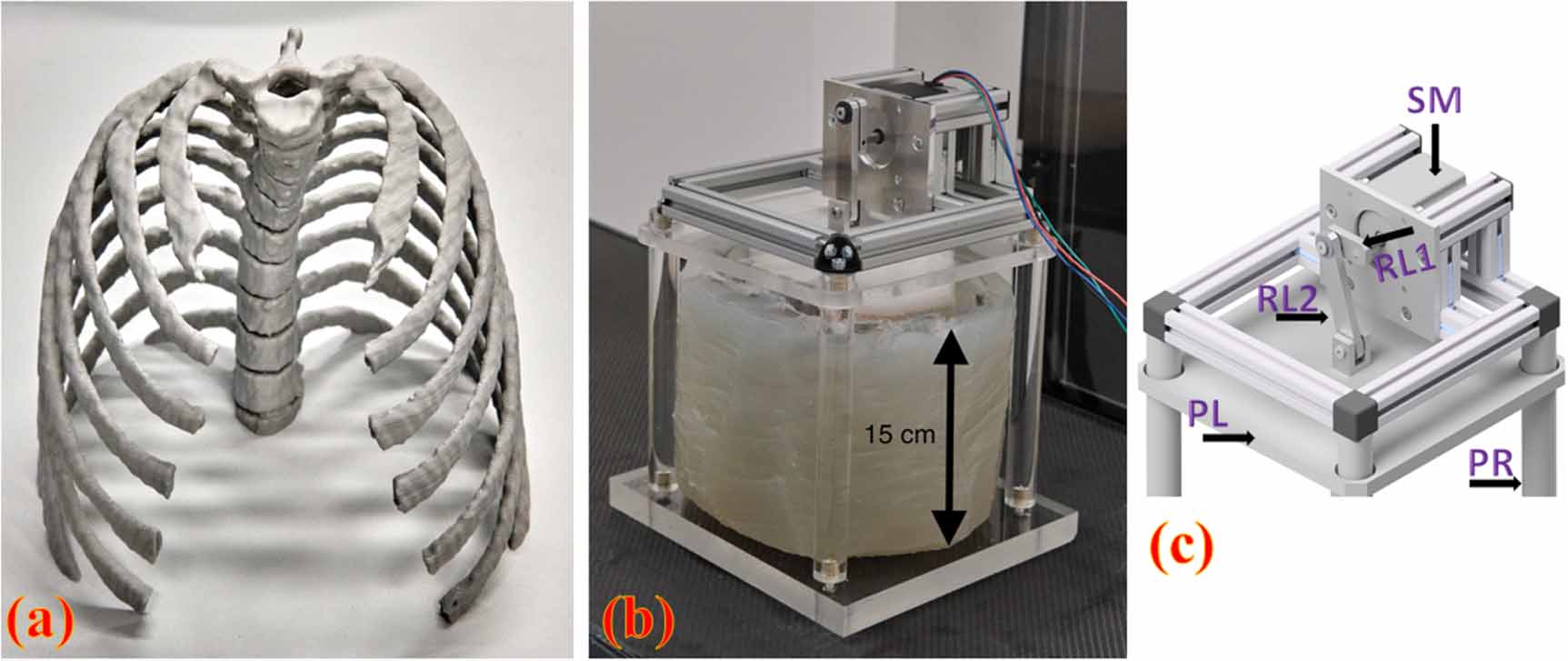 Development of a breathing lung phantom for proton CT imaging - IOPscience