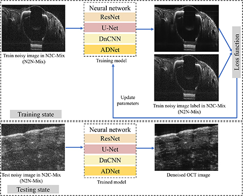 Deep learning generalization study on optical coherence tomography ...