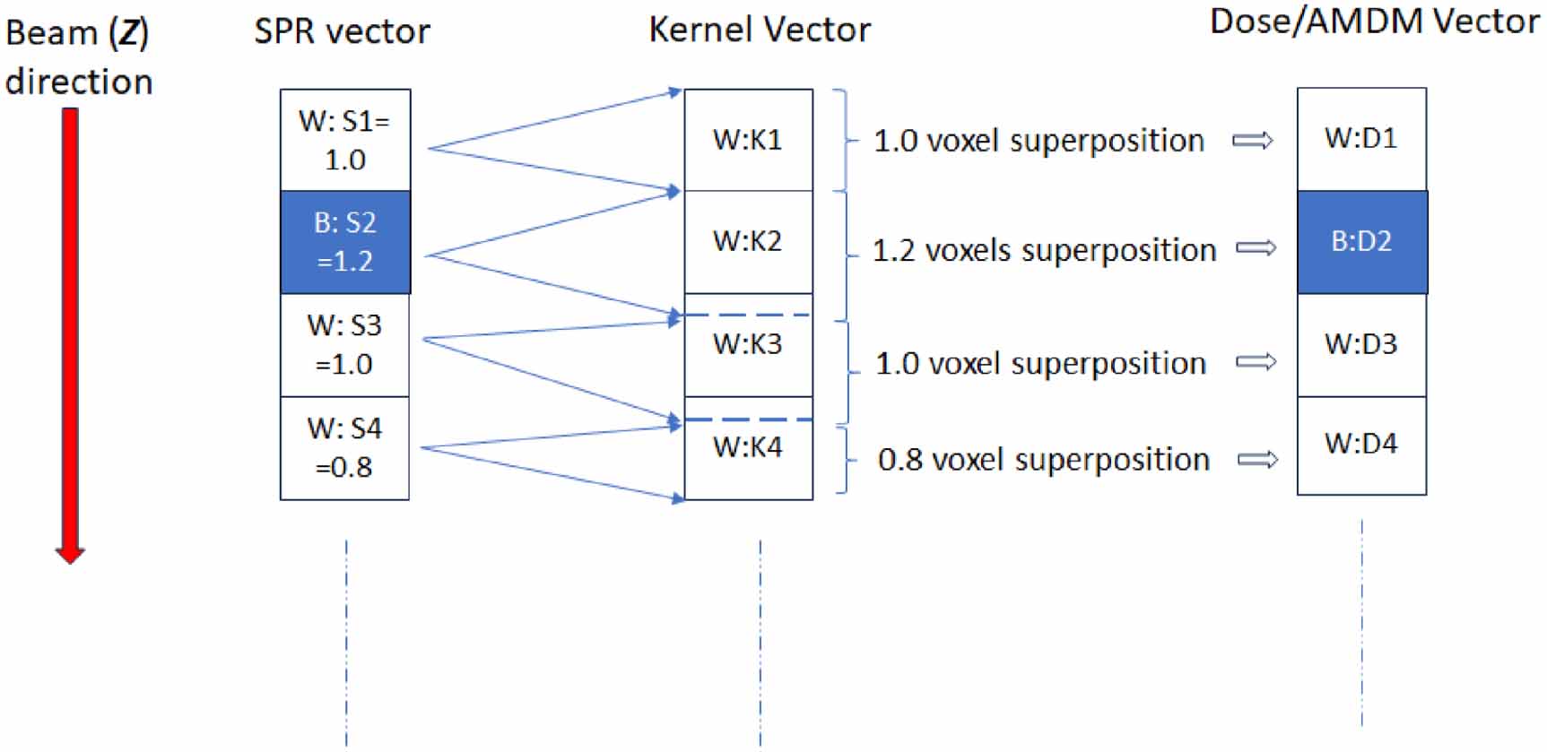 Pioneering MCF MKM RBE-weighted dose calculation for carbon ion ...