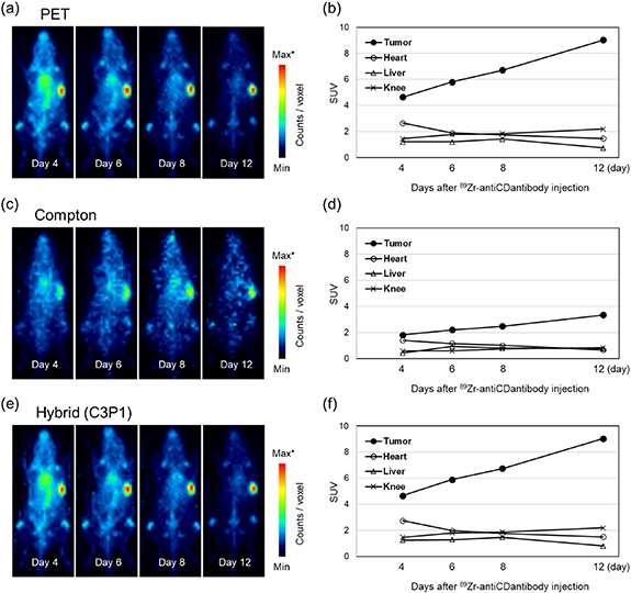A whole gamma imaging prototype for higher quantitative imaging of 89Zr ...