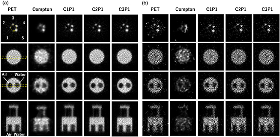 A whole gamma imaging prototype for higher quantitative imaging of 89Zr ...