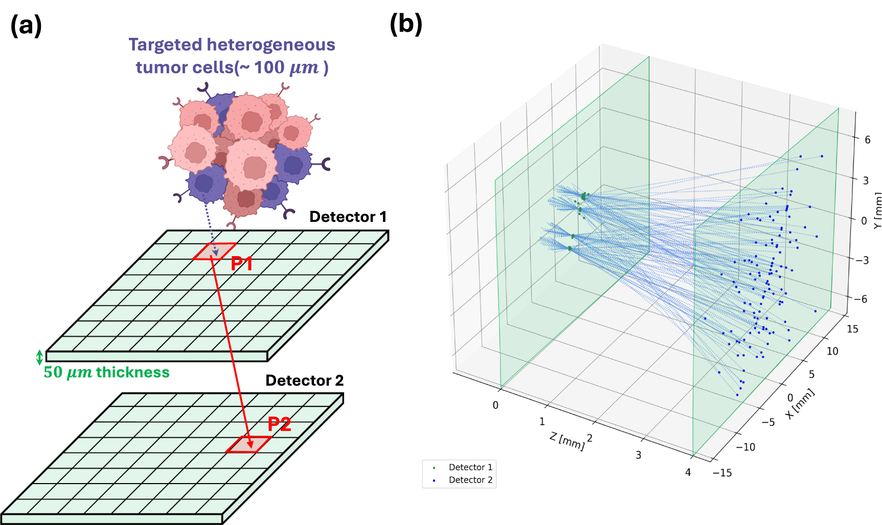 Silicon-based 3D beta ray radiopharmaceutical trackers: a Monte Carlo ...