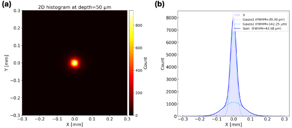 Silicon-based 3D beta ray radiopharmaceutical trackers: a Monte Carlo ...